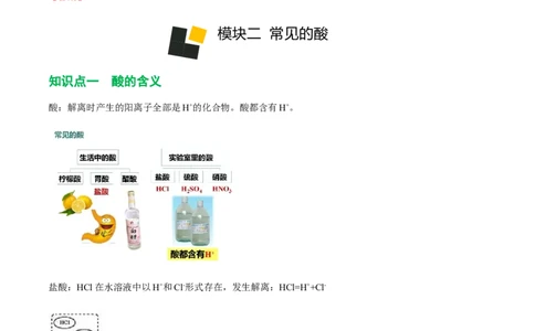 第6讲常见的酸（解析版）_初中全科电子版试卷练习试题_化学_9年级上下册化学试题_9年级下试题_人教化学九年级下专项练习（013份）