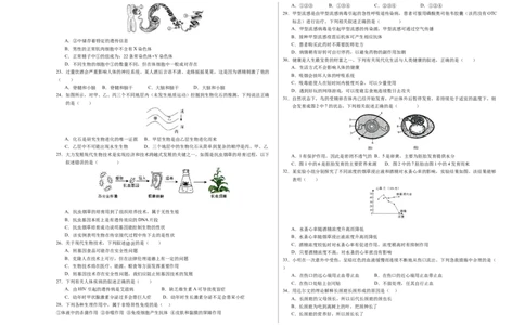 生物（扬州卷）（考试版A3）_初中全科电子版试卷练习试题_生物_2024中考模拟题生物(1)_一模_生物（扬州卷）-2024年中考第一次模拟考试