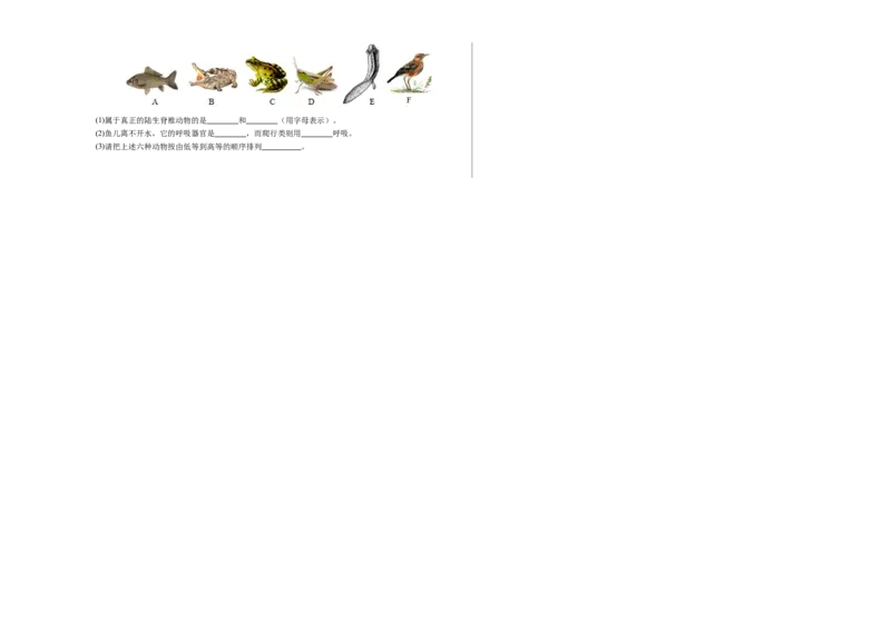 生物（扬州卷）（考试版A3）_初中全科电子版试卷练习试题_生物_2024中考模拟题生物(1)_一模_生物（扬州卷）-2024年中考第一次模拟考试