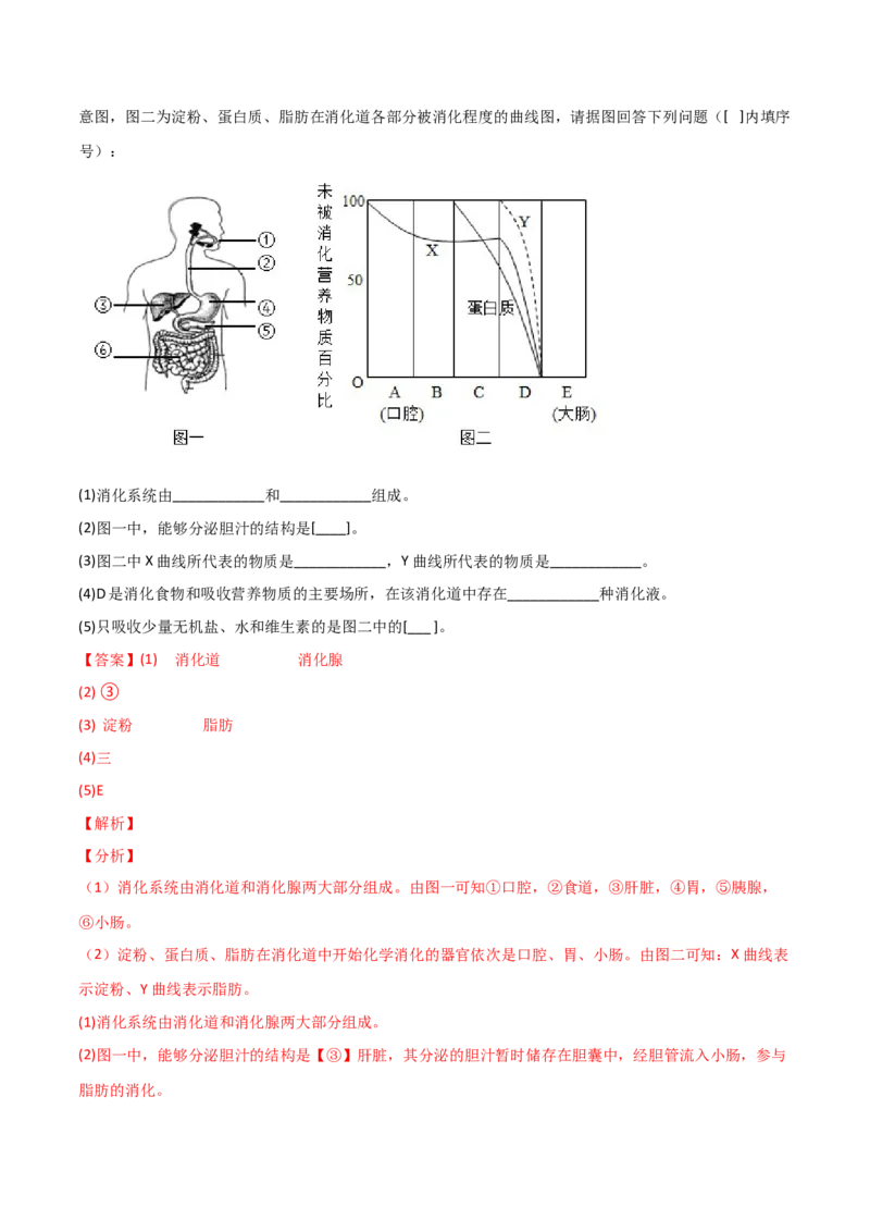 第一次月考（A卷.夯实基础）（解析版）_初中全科电子版试卷练习试题_生物_生物人教版7下练习_人教生物7年级下月考试卷04份