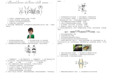 生物（云南卷）（考试版A3）_初中全科电子版试卷练习试题_生物_2024中考模拟题生物(1)_三模（37套）_生物（云南卷）