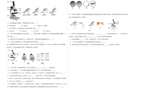 第2单元（第1章）细胞是生命活动的基本单位（选拔卷）（人教版）（考试版）_初中全科电子版试卷练习试题_生物_生物人教版7上练习&mdash;24新版已更新
