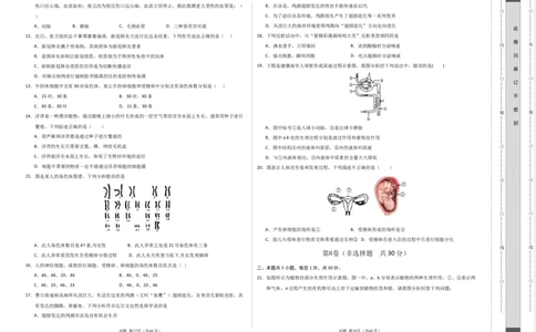 生物（甘肃卷）（考试版A3）_初中全科电子版试卷练习试题_生物_2024中考模拟题生物(1)_二模_生物（甘肃卷）-：2024年中考第二次模拟考试