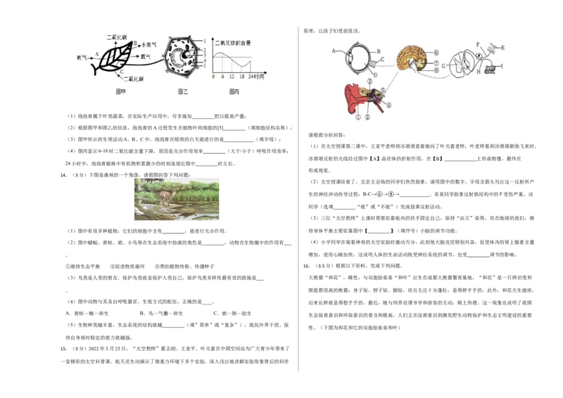 生物（辽宁卷）（考试版A3）_初中全科电子版试卷练习试题_生物_2024中考模拟题生物(1)_一模_生物（辽宁卷）-2024年中考第一次模拟考试