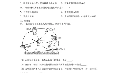 期末检测卷04-（人教版）（原卷版）_初中全科电子版试卷练习试题_生物_生物人教版7上练习&mdash;24新版已更新_人教生物7年级上期末试卷11份