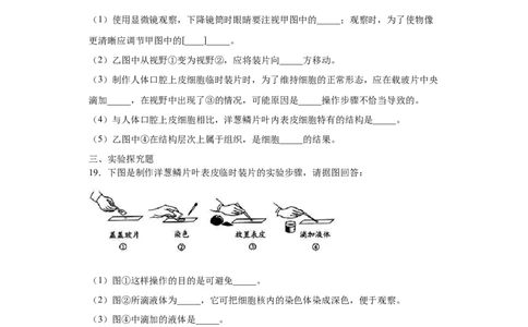 期末检测卷04-（人教版）（原卷版）_初中全科电子版试卷练习试题_生物_生物人教版7上练习&mdash;24新版已更新_人教生物7年级上期末试卷11份
