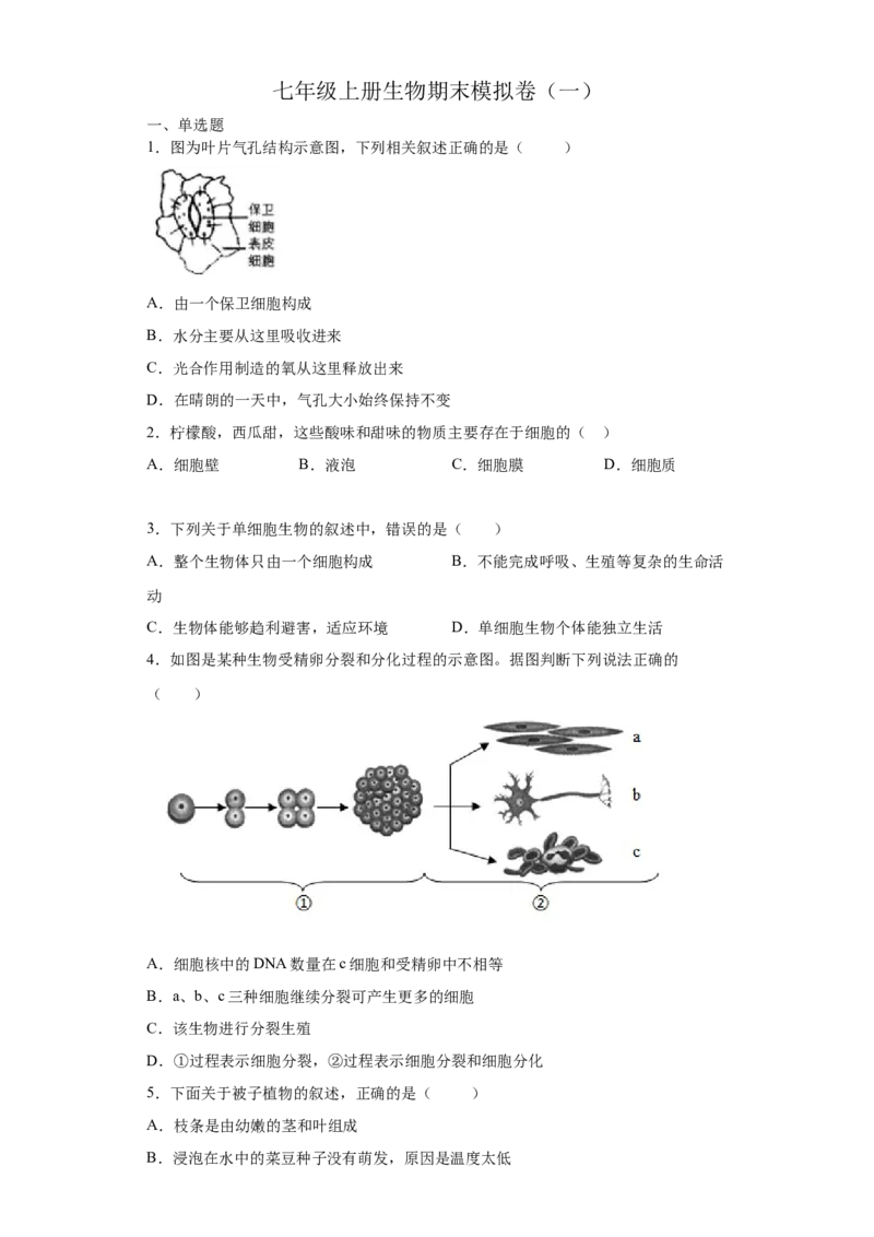 期末检测卷04-（人教版）（原卷版）_初中全科电子版试卷练习试题_生物_生物人教版7上练习&mdash;24新版已更新_人教生物7年级上期末试卷11份
