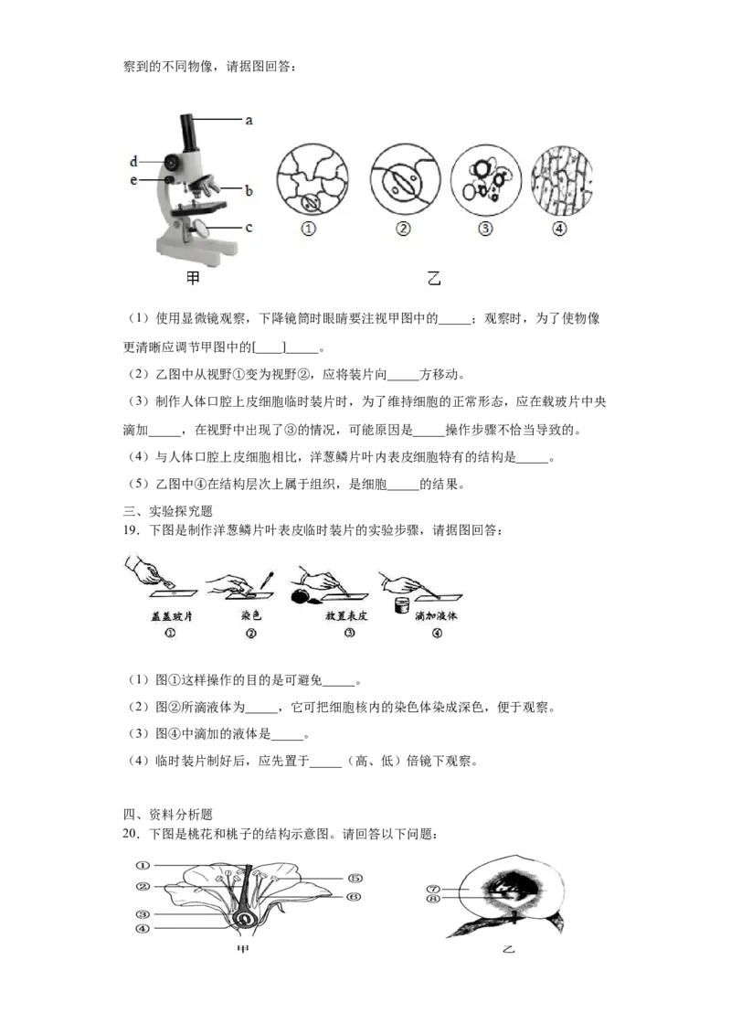 期末检测卷04-（人教版）（原卷版）_初中全科电子版试卷练习试题_生物_生物人教版7上练习&mdash;24新版已更新_人教生物7年级上期末试卷11份