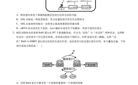 信息必刷卷01（新高考通用）原卷版_2025年新高考资料_2025考前信息卷_2025年高考生物考前信息必刷卷（新高考通用）3443035