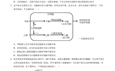 信息必刷卷01（新高考通用）原卷版_2025年新高考资料_2025考前信息卷_2025年高考生物考前信息必刷卷（新高考通用）3443035
