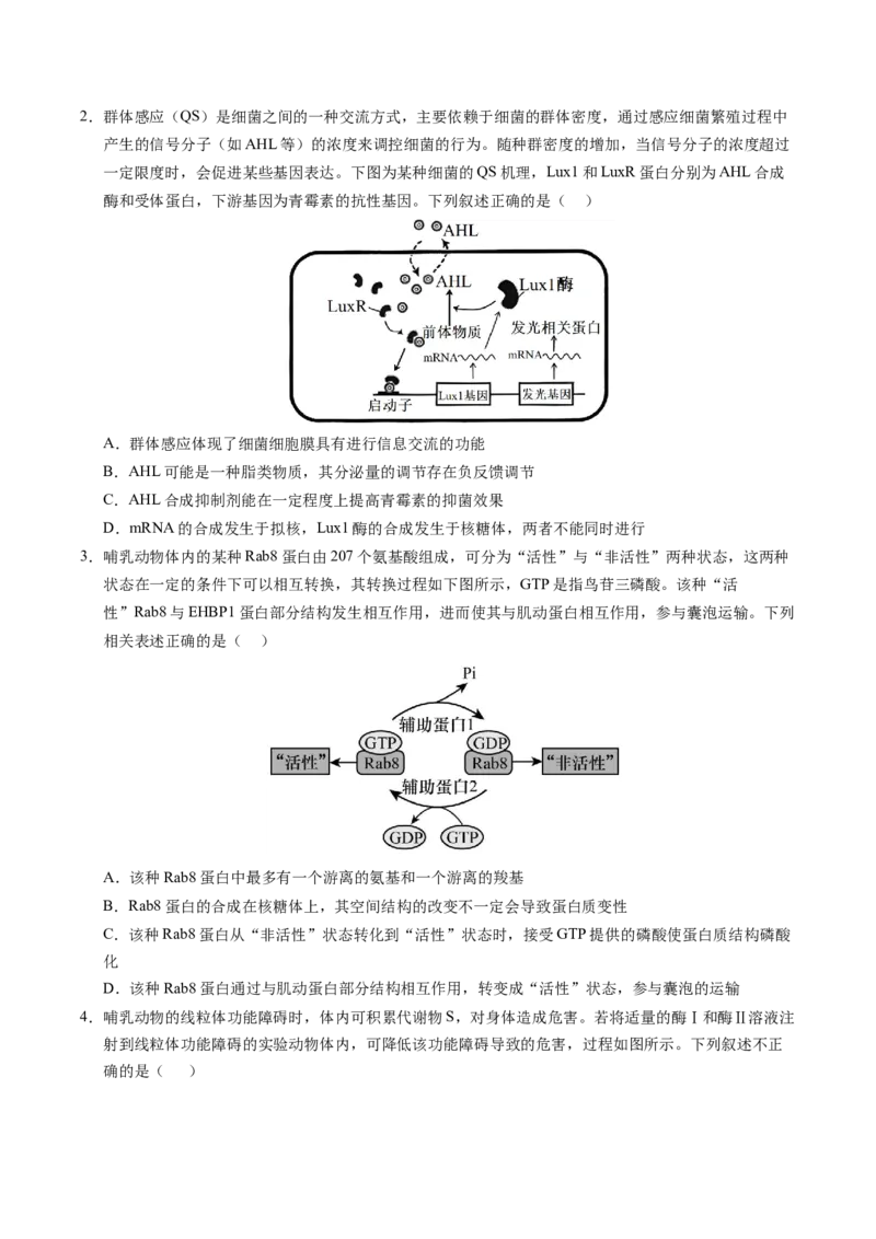 信息必刷卷01（新高考通用）原卷版_2025年新高考资料_2025考前信息卷_2025年高考生物考前信息必刷卷（新高考通用）3443035