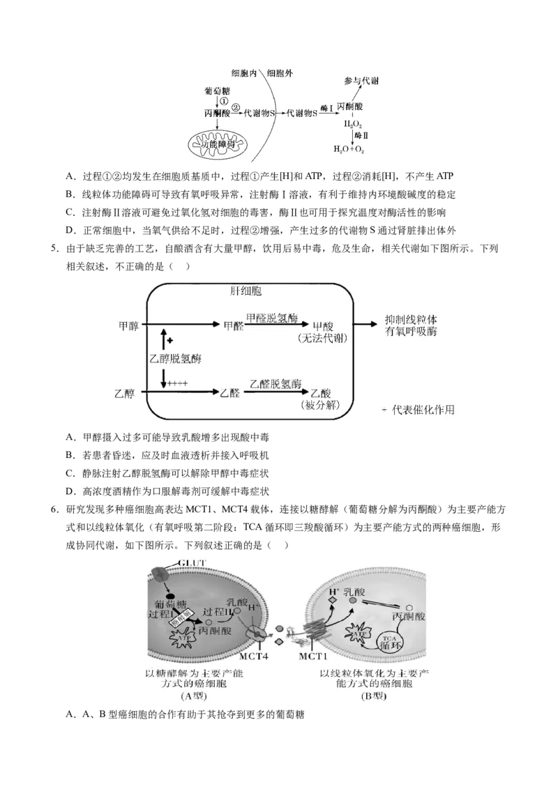 信息必刷卷01（新高考通用）原卷版_2025年新高考资料_2025考前信息卷_2025年高考生物考前信息必刷卷（新高考通用）3443035