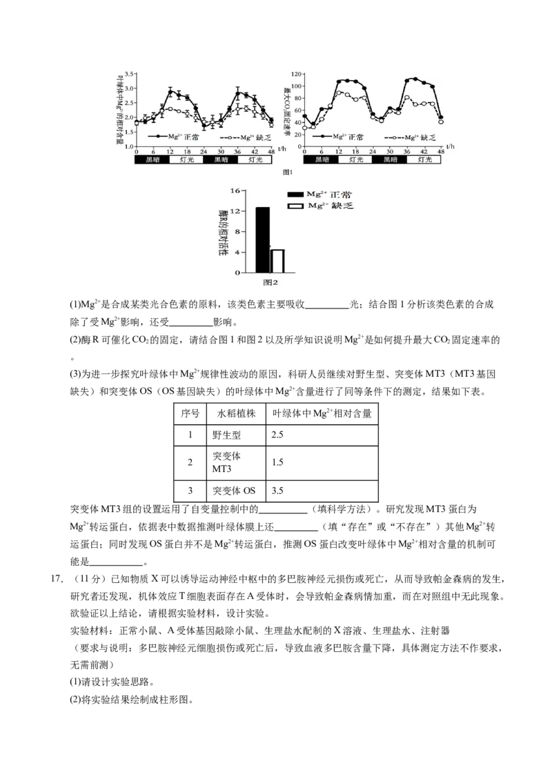 信息必刷卷01（新高考通用）原卷版_2025年新高考资料_2025考前信息卷_2025年高考生物考前信息必刷卷（新高考通用）3443035