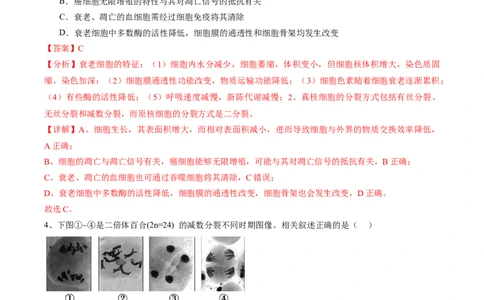 信息必刷卷03（江苏专用）（解析版）_2025年新高考资料_2025考前信息卷_2025年高考生物考前信息必刷卷（江苏专用）34423855