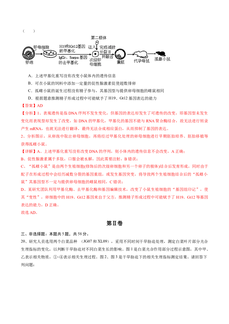 信息必刷卷03（江苏专用）（解析版）_2025年新高考资料_2025考前信息卷_2025年高考生物考前信息必刷卷（江苏专用）34423855
