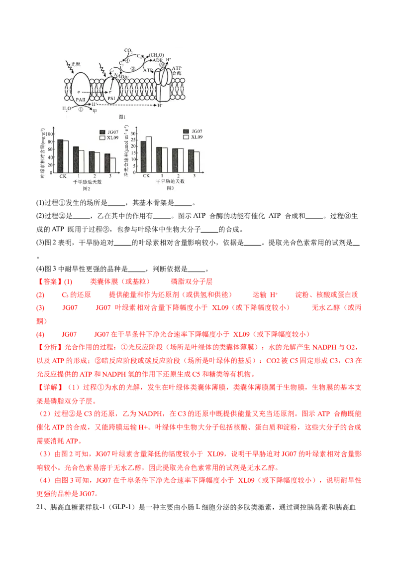 信息必刷卷03（江苏专用）（解析版）_2025年新高考资料_2025考前信息卷_2025年高考生物考前信息必刷卷（江苏专用）34423855