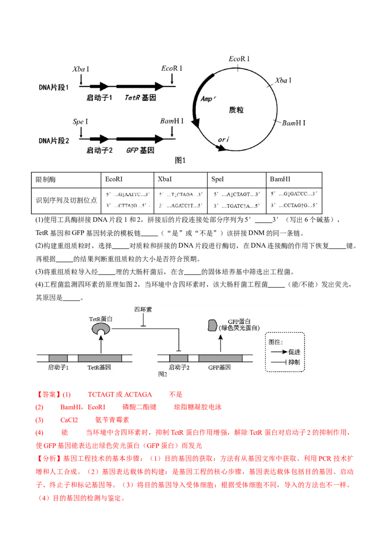信息必刷卷03（江苏专用）（解析版）_2025年新高考资料_2025考前信息卷_2025年高考生物考前信息必刷卷（江苏专用）34423855