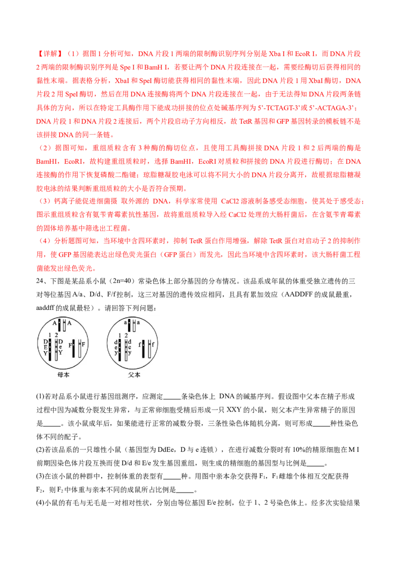 信息必刷卷03（江苏专用）（解析版）_2025年新高考资料_2025考前信息卷_2025年高考生物考前信息必刷卷（江苏专用）34423855