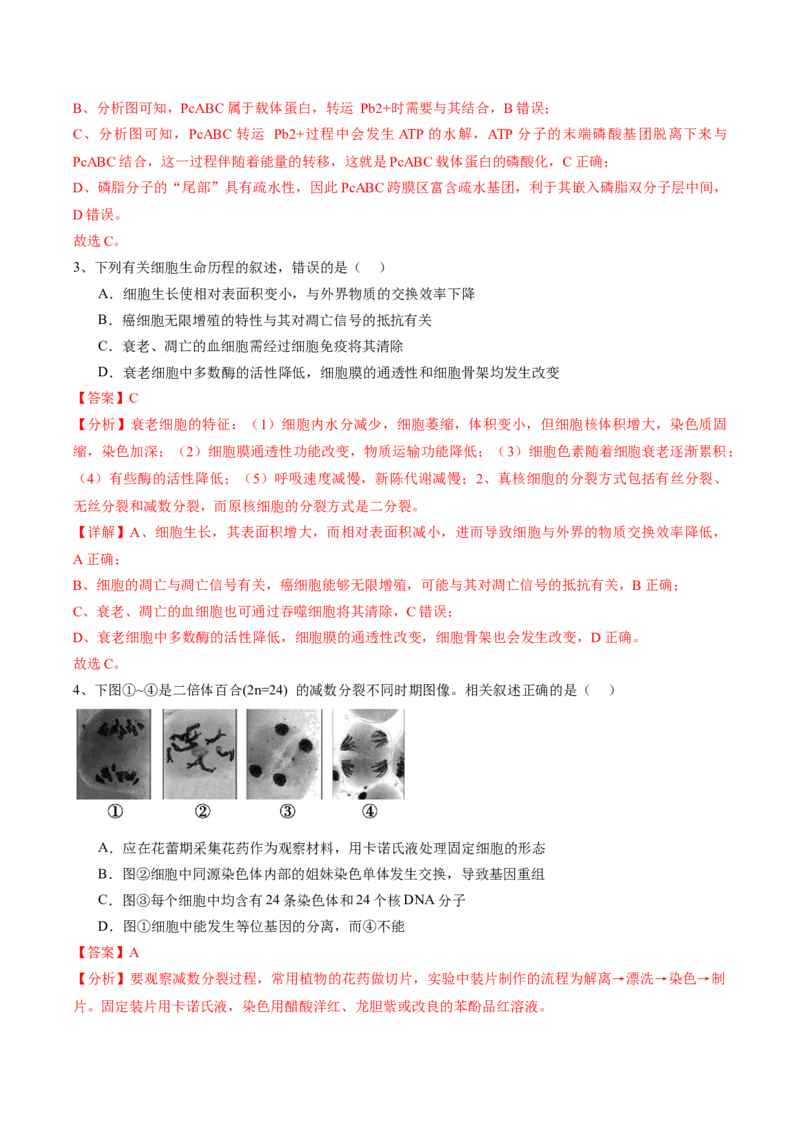 信息必刷卷03（江苏专用）（解析版）_2025年新高考资料_2025考前信息卷_2025年高考生物考前信息必刷卷（江苏专用）34423855