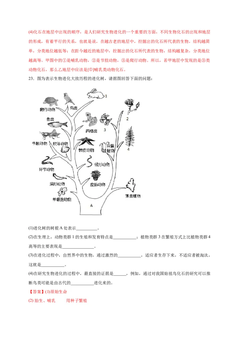 第三单元生命起源和生物进化（选拔卷）-单元测试（人教版）（解析版）_初中全科电子版试卷练习试题_生物_生物8下练习_人教生物8年级下单元试卷38份