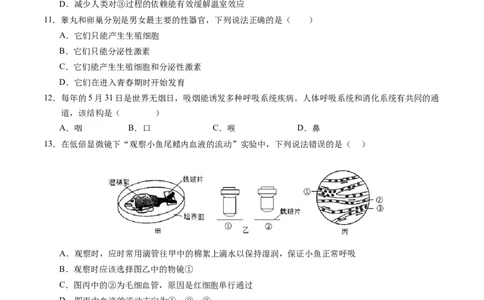 生物（苏州卷）（考试版A4）_初中全科电子版试卷练习试题_生物_2024中考模拟题生物(1)_一模_生物（苏州卷）-2024年中考第一次模拟考试