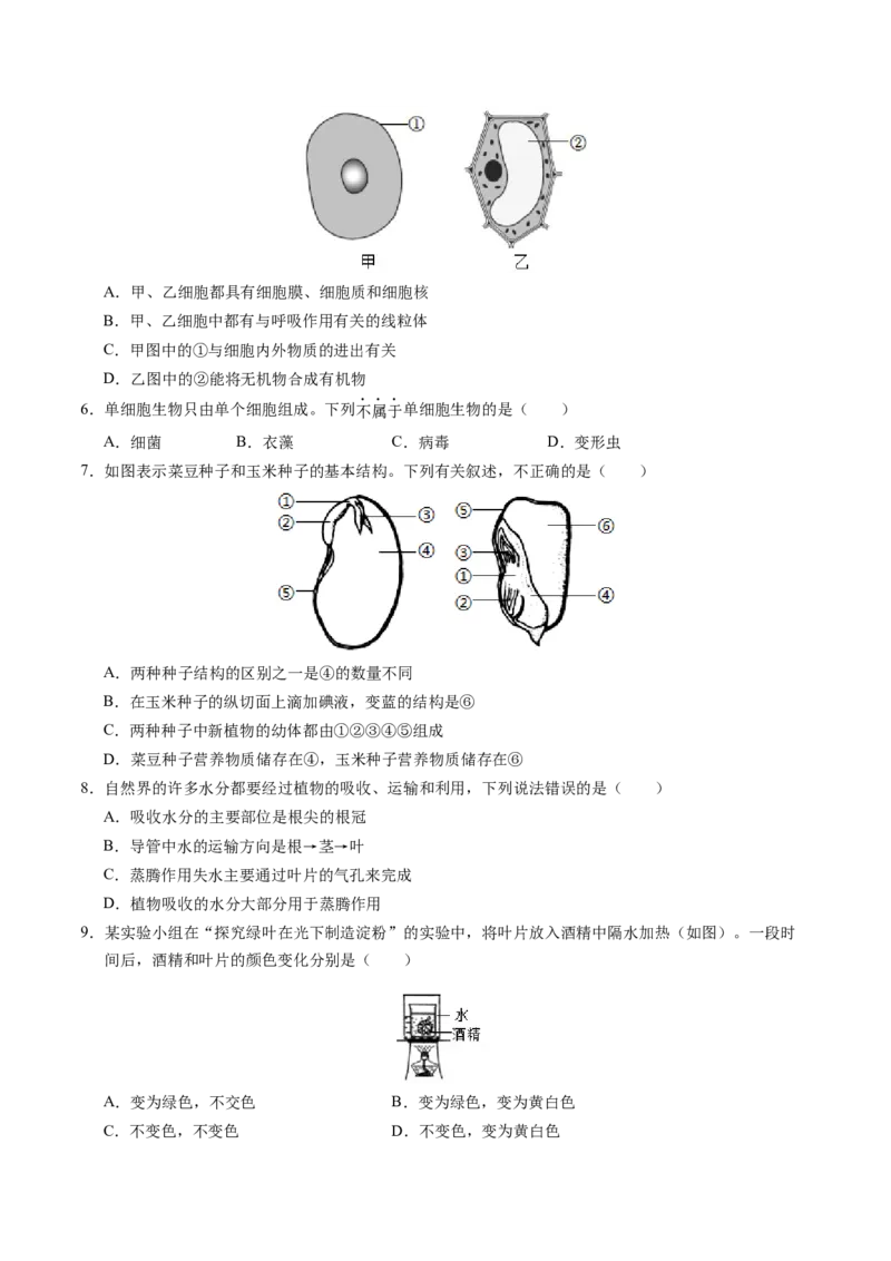 生物（苏州卷）（考试版A4）_初中全科电子版试卷练习试题_生物_2024中考模拟题生物(1)_一模_生物（苏州卷）-2024年中考第一次模拟考试