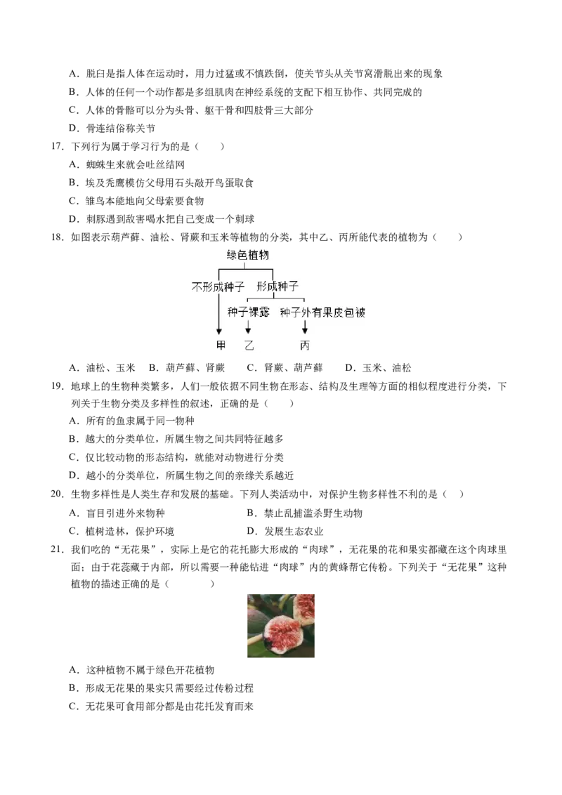 生物（苏州卷）（考试版A4）_初中全科电子版试卷练习试题_生物_2024中考模拟题生物(1)_一模_生物（苏州卷）-2024年中考第一次模拟考试