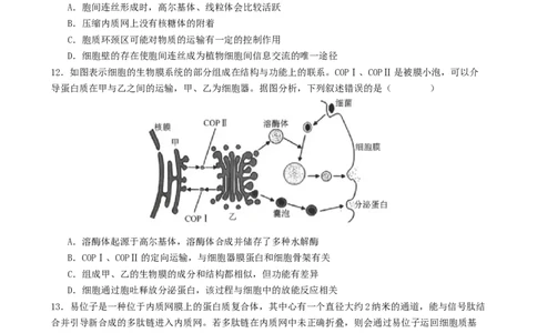 专题一细胞的物质基础和结构基础（原卷版）_2025年新高考资料_二轮复习_01高考语文等多个文件_上好课2025年高考生物二轮复习讲练测（新高考通用）
