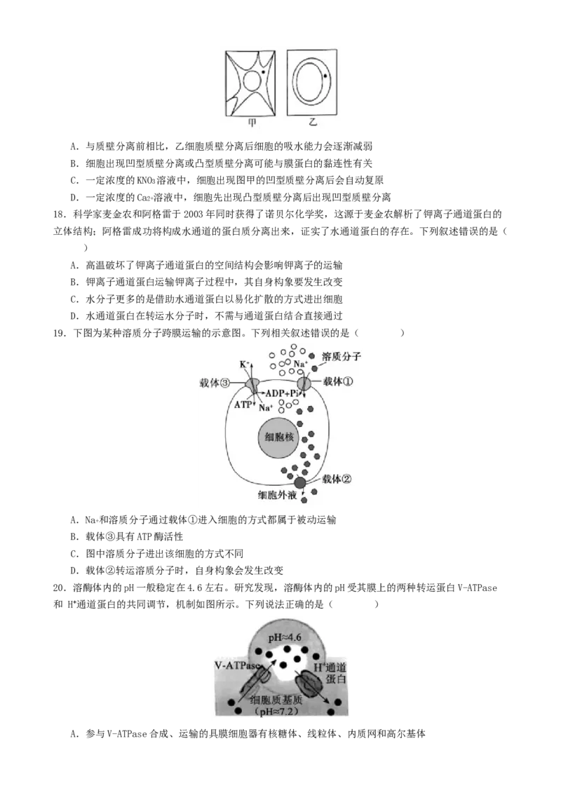 专题一细胞的物质基础和结构基础（原卷版）_2025年新高考资料_二轮复习_01高考语文等多个文件_上好课2025年高考生物二轮复习讲练测（新高考通用）