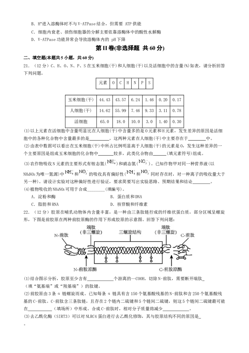 专题一细胞的物质基础和结构基础（原卷版）_2025年新高考资料_二轮复习_01高考语文等多个文件_上好课2025年高考生物二轮复习讲练测（新高考通用）