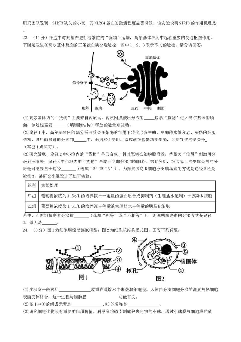 专题一细胞的物质基础和结构基础（原卷版）_2025年新高考资料_二轮复习_01高考语文等多个文件_上好课2025年高考生物二轮复习讲练测（新高考通用）