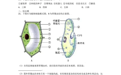 期中测试卷01-（人教版）（原卷版）_初中全科电子版试卷练习试题_生物_生物人教版7上练习&mdash;24新版已更新_人教生物7年级上期中试卷07份