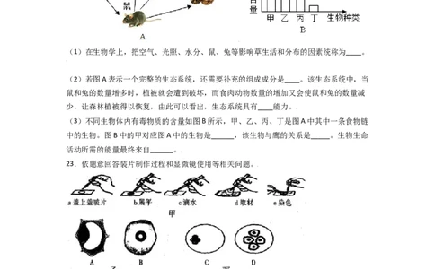 期中测试卷01-（人教版）（原卷版）_初中全科电子版试卷练习试题_生物_生物人教版7上练习&mdash;24新版已更新_人教生物7年级上期中试卷07份