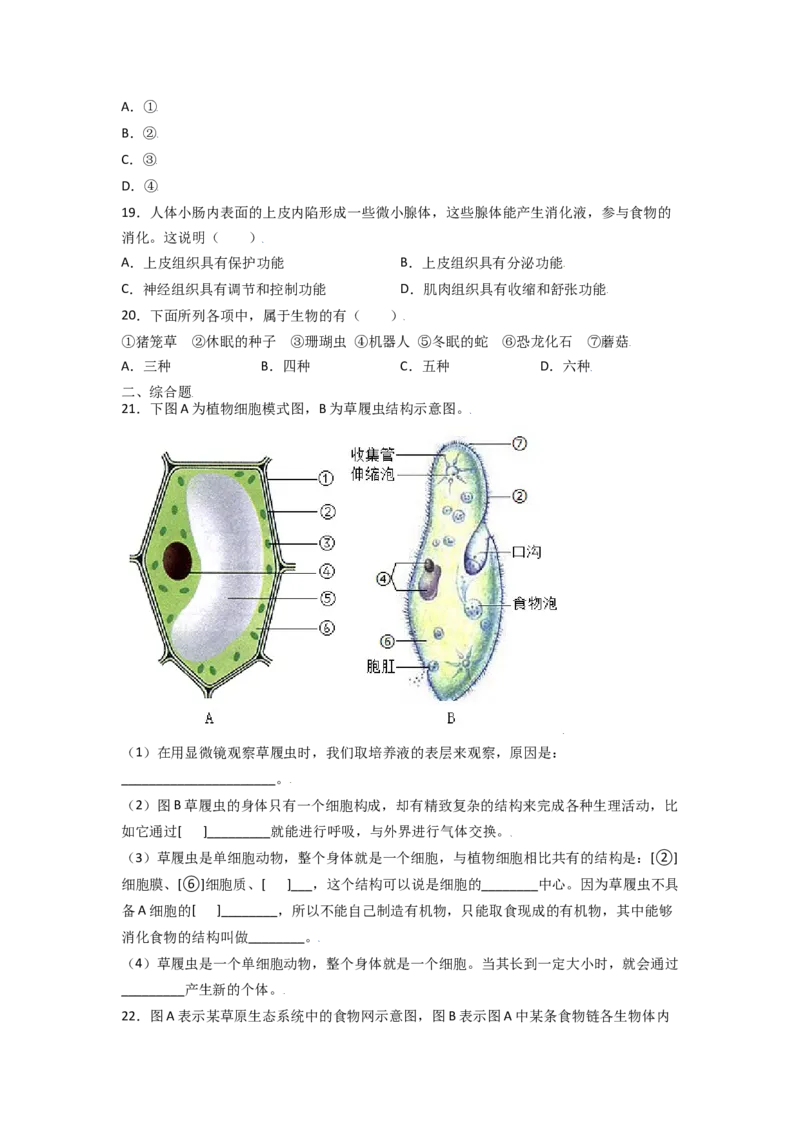 期中测试卷01-（人教版）（原卷版）_初中全科电子版试卷练习试题_生物_生物人教版7上练习&mdash;24新版已更新_人教生物7年级上期中试卷07份