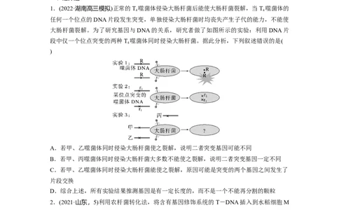 二轮专题强化练　训练5　遗传的分子基础、变异与进化_通用版（老高考）复习资料_2023年复习资料_二轮复习_2023年高考生物二轮复习讲义+课件（全国版）_学生版_二轮专题强化练