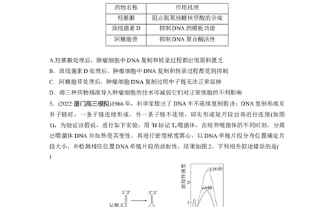 二轮专题强化练　训练5　遗传的分子基础、变异与进化_通用版（老高考）复习资料_2023年复习资料_二轮复习_2023年高考生物二轮复习讲义+课件（全国版）_学生版_二轮专题强化练