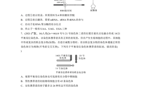 二轮专题强化练　训练5　遗传的分子基础、变异与进化_通用版（老高考）复习资料_2023年复习资料_二轮复习_2023年高考生物二轮复习讲义+课件（全国版）_学生版_二轮专题强化练