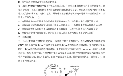 二轮专题强化练　训练5　遗传的分子基础、变异与进化_通用版（老高考）复习资料_2023年复习资料_二轮复习_2023年高考生物二轮复习讲义+课件（全国版）_学生版_二轮专题强化练