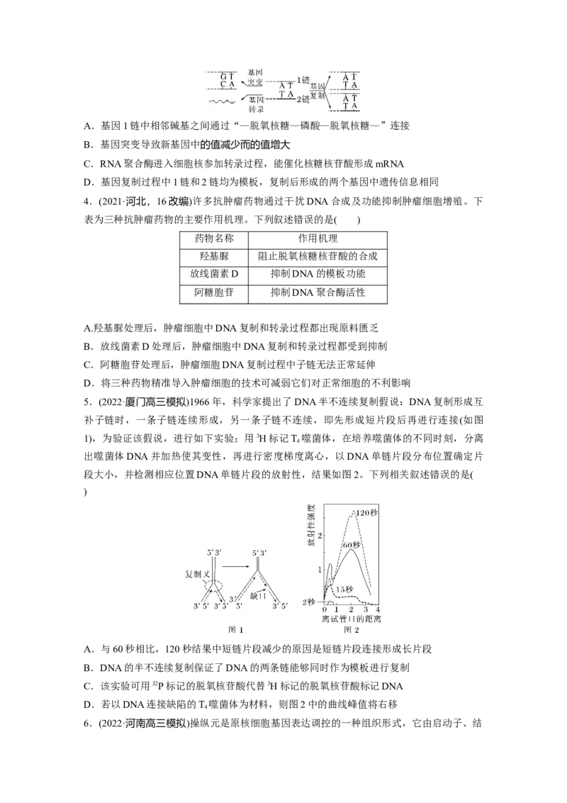 二轮专题强化练　训练5　遗传的分子基础、变异与进化_通用版（老高考）复习资料_2023年复习资料_二轮复习_2023年高考生物二轮复习讲义+课件（全国版）_学生版_二轮专题强化练