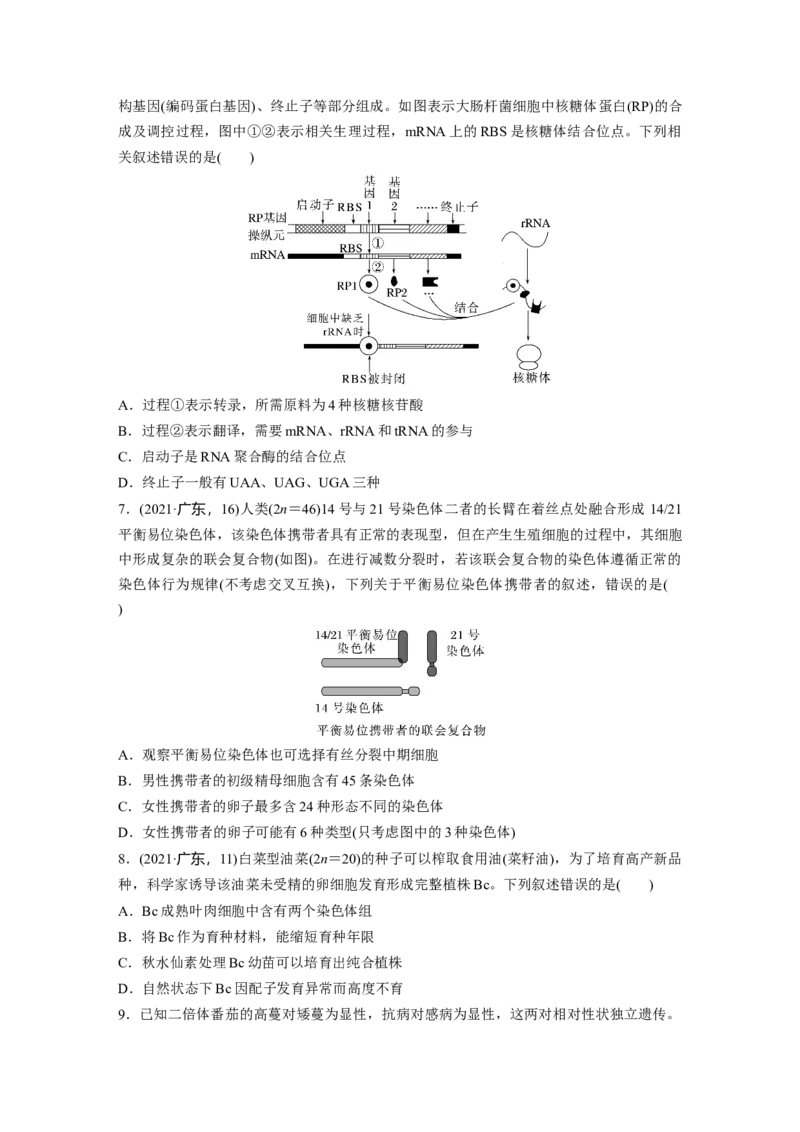 二轮专题强化练　训练5　遗传的分子基础、变异与进化_通用版（老高考）复习资料_2023年复习资料_二轮复习_2023年高考生物二轮复习讲义+课件（全国版）_学生版_二轮专题强化练