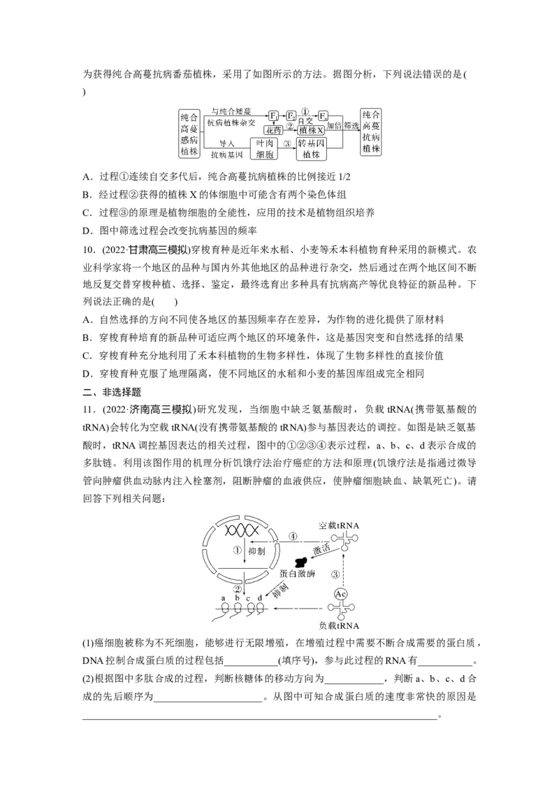 二轮专题强化练　训练5　遗传的分子基础、变异与进化_通用版（老高考）复习资料_2023年复习资料_二轮复习_2023年高考生物二轮复习讲义+课件（全国版）_学生版_二轮专题强化练