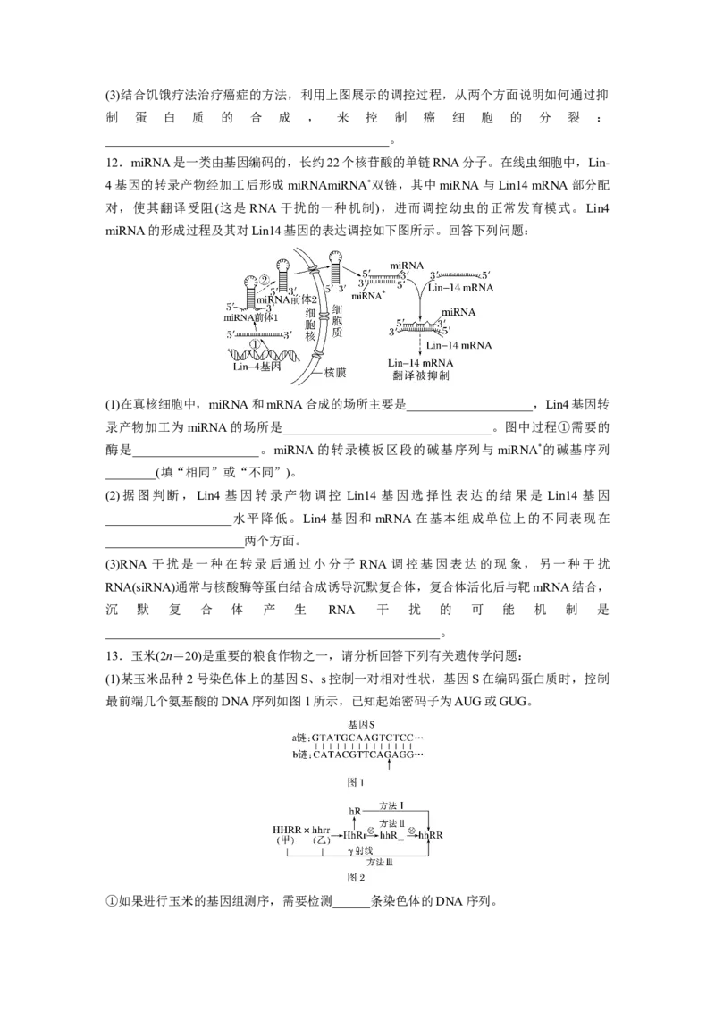 二轮专题强化练　训练5　遗传的分子基础、变异与进化_通用版（老高考）复习资料_2023年复习资料_二轮复习_2023年高考生物二轮复习讲义+课件（全国版）_学生版_二轮专题强化练