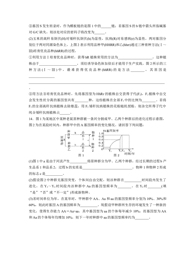 二轮专题强化练　训练5　遗传的分子基础、变异与进化_通用版（老高考）复习资料_2023年复习资料_二轮复习_2023年高考生物二轮复习讲义+课件（全国版）_学生版_二轮专题强化练