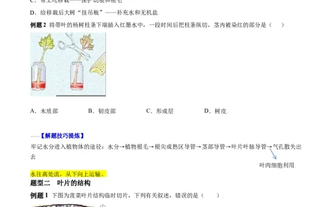 必考点19绿色植物与生物圈的水循环-（人教版）（原卷版）_初中全科电子版试卷练习试题_生物_生物人教版7上练习&mdash;24新版已更新_人教生物7年级上专项练习28份