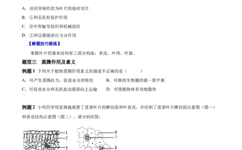 必考点19绿色植物与生物圈的水循环-（人教版）（原卷版）_初中全科电子版试卷练习试题_生物_生物人教版7上练习&mdash;24新版已更新_人教生物7年级上专项练习28份