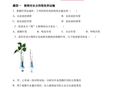 必考点19绿色植物与生物圈的水循环-（人教版）（原卷版）_初中全科电子版试卷练习试题_生物_生物人教版7上练习&mdash;24新版已更新_人教生物7年级上专项练习28份