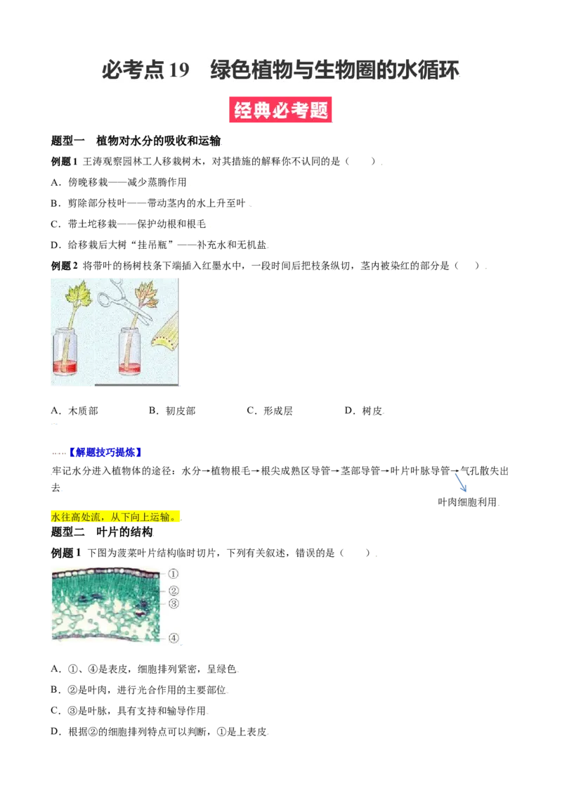 必考点19绿色植物与生物圈的水循环-（人教版）（原卷版）_初中全科电子版试卷练习试题_生物_生物人教版7上练习&mdash;24新版已更新_人教生物7年级上专项练习28份
