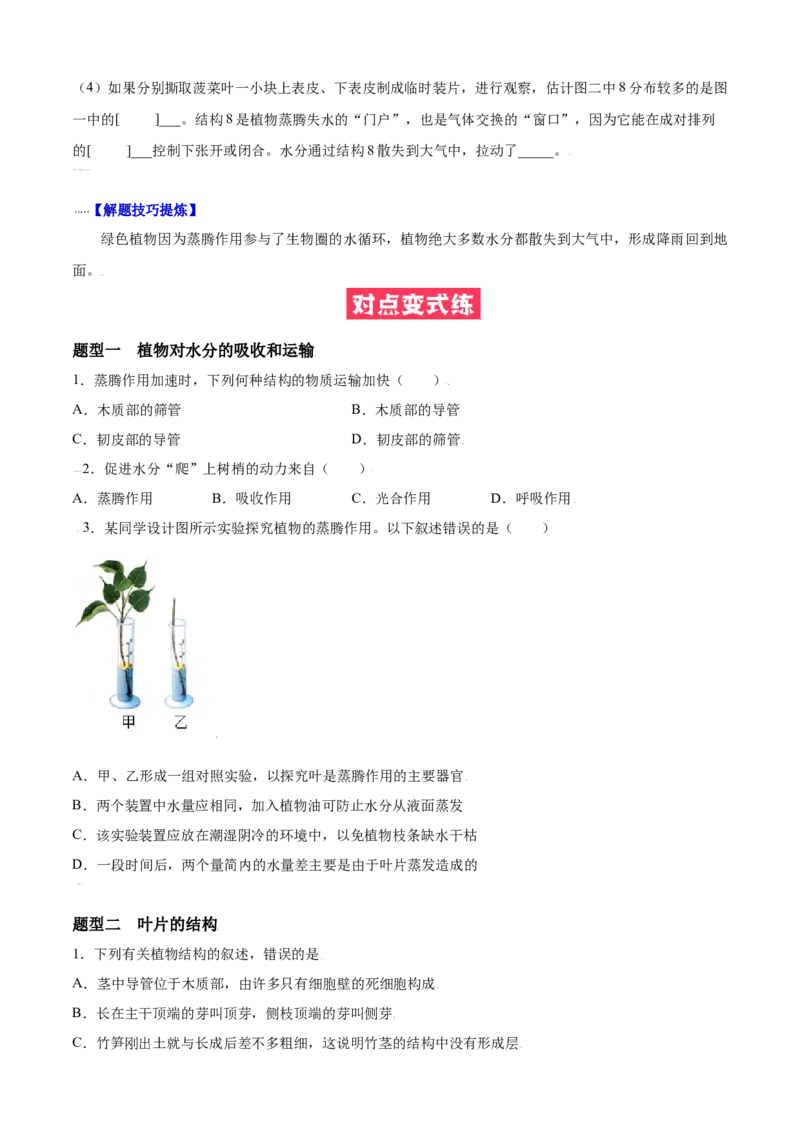 必考点19绿色植物与生物圈的水循环-（人教版）（原卷版）_初中全科电子版试卷练习试题_生物_生物人教版7上练习&mdash;24新版已更新_人教生物7年级上专项练习28份