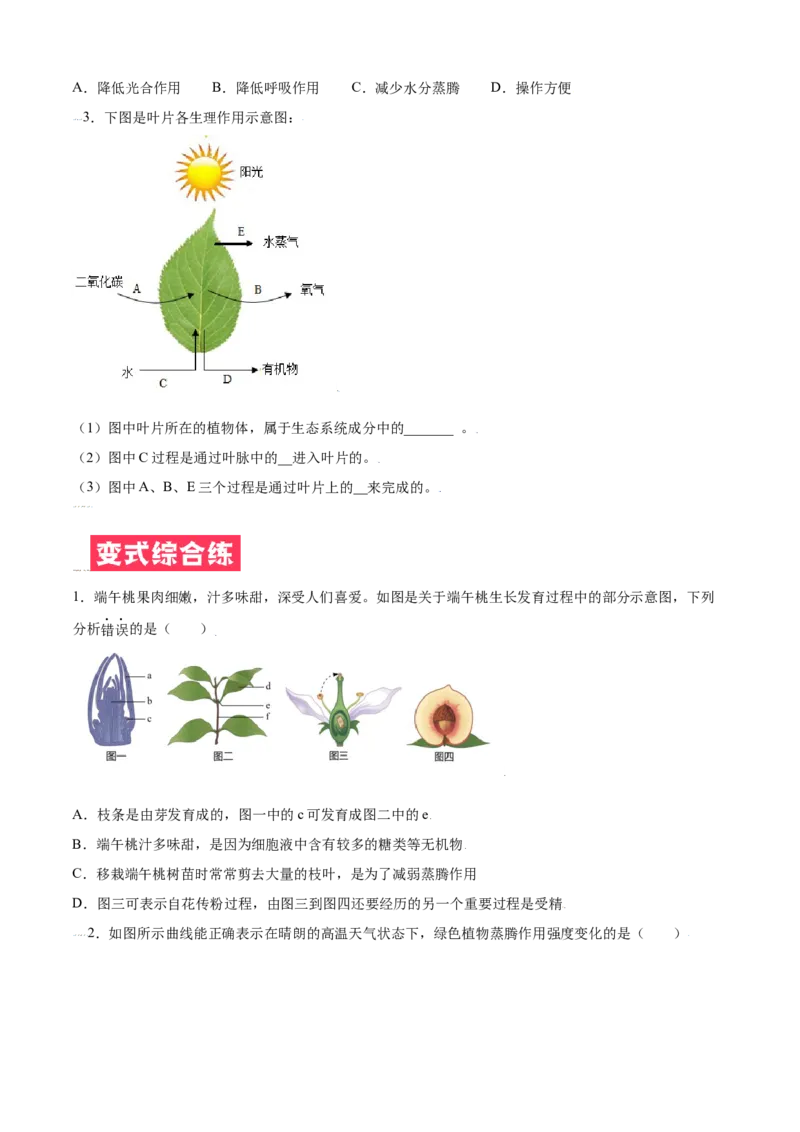 必考点19绿色植物与生物圈的水循环-（人教版）（原卷版）_初中全科电子版试卷练习试题_生物_生物人教版7上练习&mdash;24新版已更新_人教生物7年级上专项练习28份