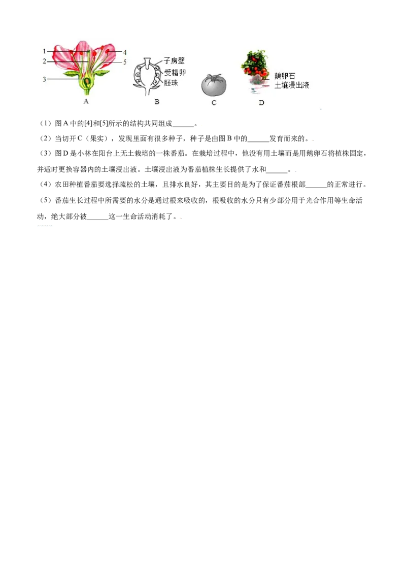 必考点19绿色植物与生物圈的水循环-（人教版）（原卷版）_初中全科电子版试卷练习试题_生物_生物人教版7上练习&mdash;24新版已更新_人教生物7年级上专项练习28份